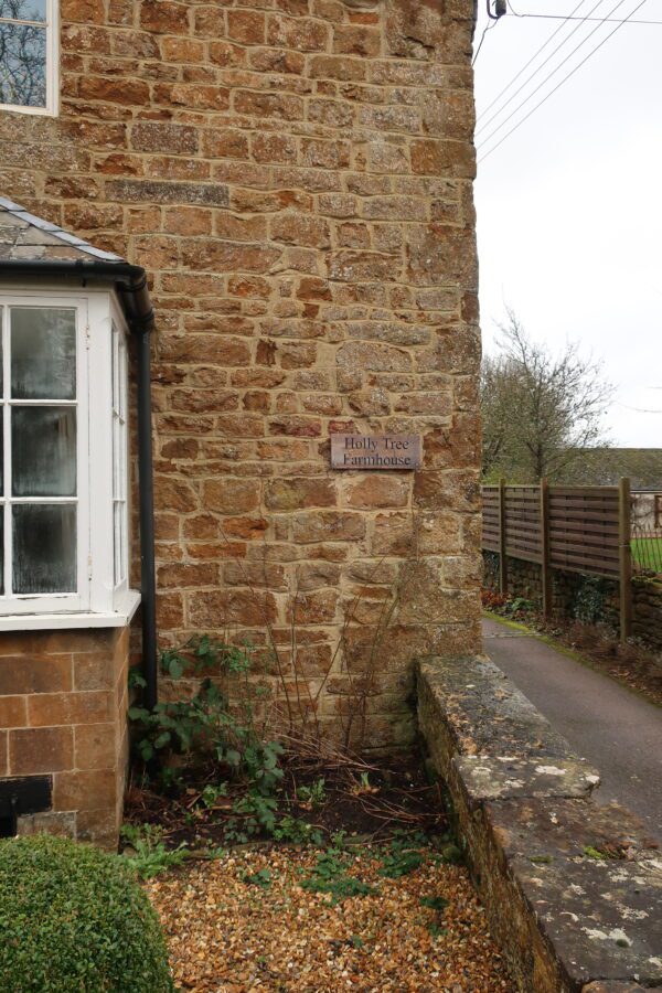 IMG 8859