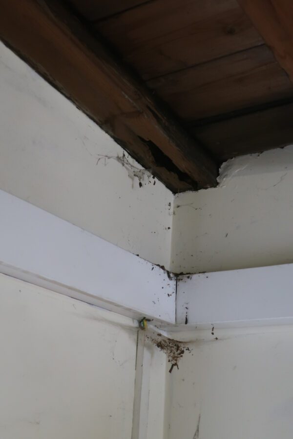 Beam rot
